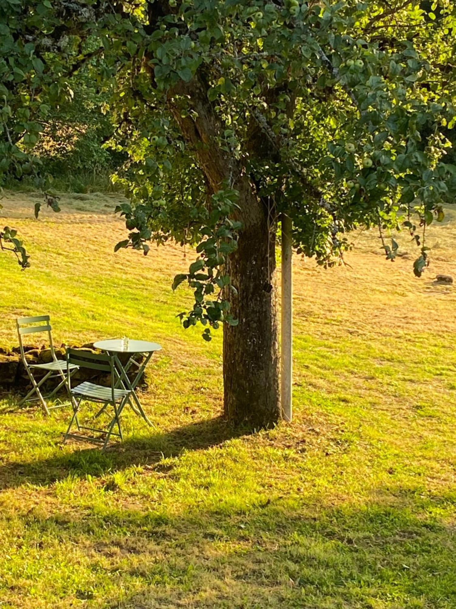 Une Pause En Correze Sarroux Eksteriør billede
